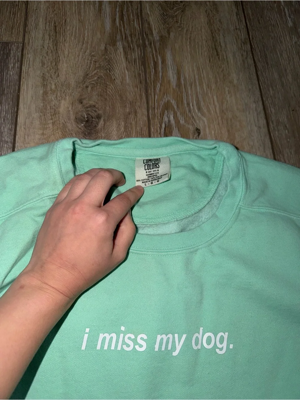 Comfort Colors Mint Green Crewneck Sweatshirt with Front Text